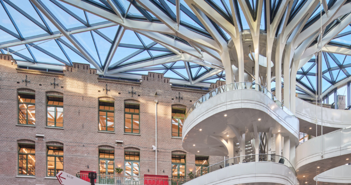 © Ronald Tilleman_20251030-0168_1 small